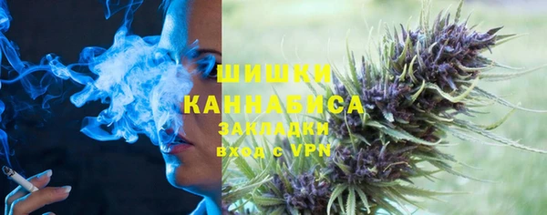 ПСИЛОЦИБИНОВЫЕ ГРИБЫ Абаза