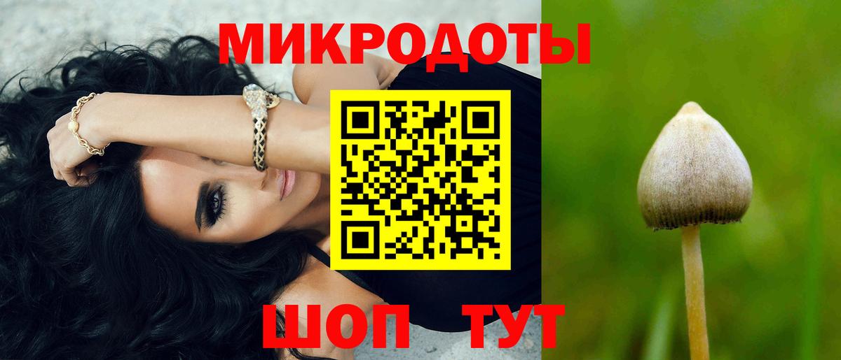 Галлюциногенные грибы GOLDEN TEACHER  Вход с VPN  Галлюциногенные грибы мухоморы  Новоалтайск 